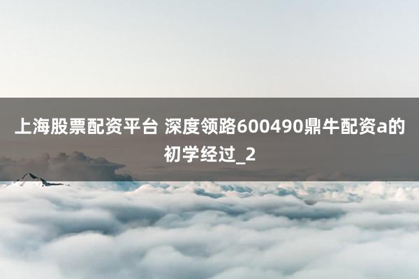 上海股票配资平台 深度领路600490鼎牛配资a的初学经过_2